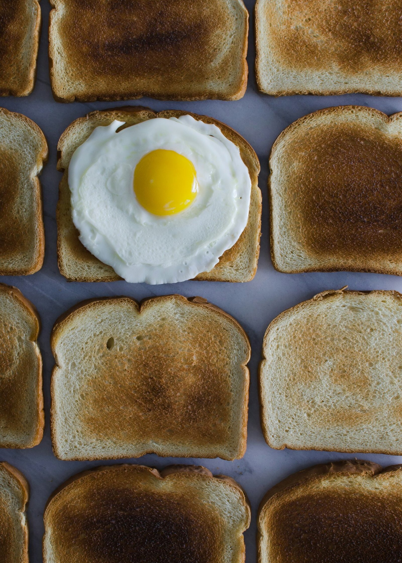 Todo lo que Necesitas Saber sobre las Mejores Tostadoras de Pan: Guía Completa